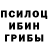 Псилоцибиновые грибы Psilocybe Shaxnoza Baxramova