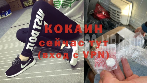 молекула духа Богородск